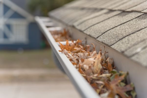 Leaf Barrier Installation in Weaverville